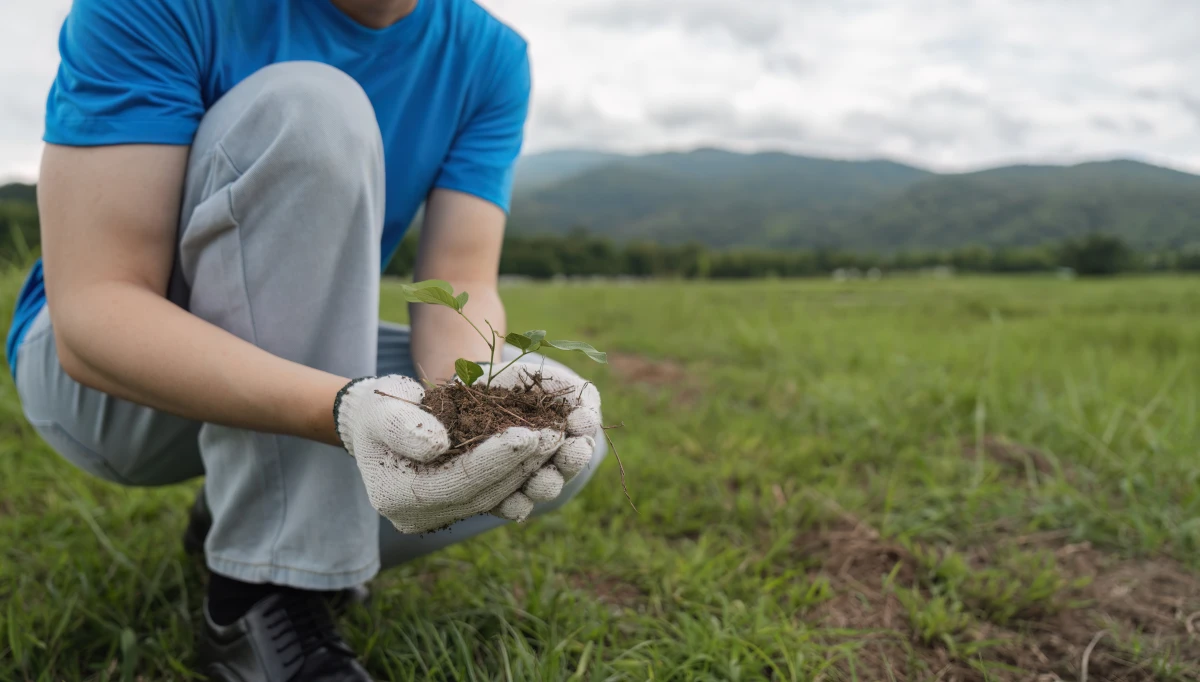 La reforestation artificielle : un défi juridique pour sauver nos forêts